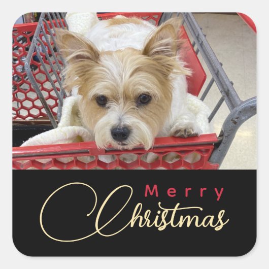 Merry Christmas Puppy Photo Shopping Cart スクエアシール (正面)