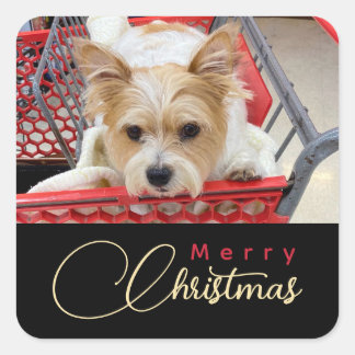Merry Christmas Puppy Photo Shopping Cart  スクエアシール