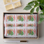 Merry Christmas Santa Pineapple 薄葉紙 (ギフト)