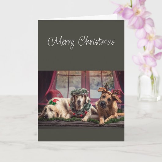 Merry Christmas Season to be Jolly Dogs カード (蘭)