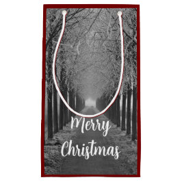 Merry Christmas winter, スモールペーパーバッグ