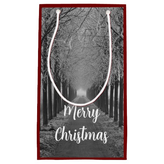 Merry Christmas winter, スモールペーパーバッグ (正面)