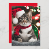 Merry Christmas with a cute kitten シーズンカード (正面/裏面)
