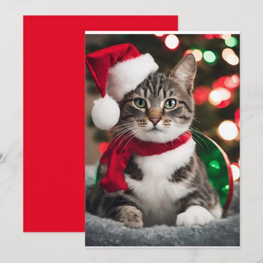 Merry Christmas with a cute kitten シーズンカード (正面/裏面)