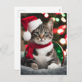Merry Christmas with a cute kitten シーズンポストカード (正面/裏面)