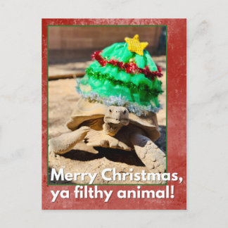Merry Christmas ya filthy animal Sarcastic turtle ポストカード