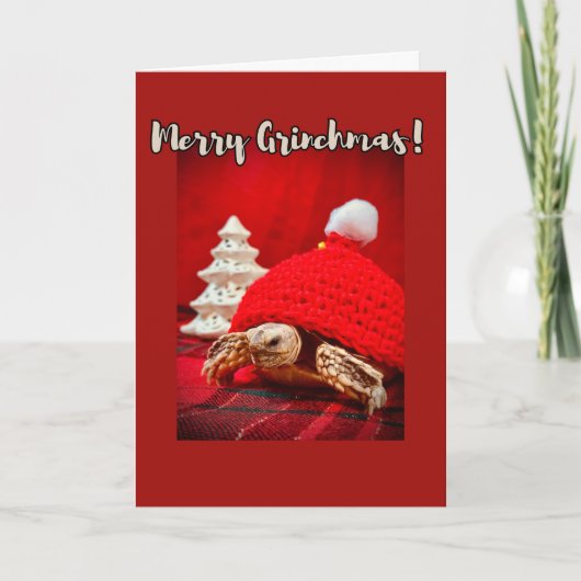 Merry Grinchmas baby sulcata tortoise in a red hat カード (正面)