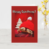 Merry Grinchmas baby sulcata tortoise in a red hat カード (黄色い花)