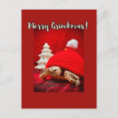Merry Grinchmas baby sulcata tortoise in a red hat ポストカード (正面)