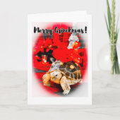 Merry Grinchmas baby sulcata tortoise with red bow カード (正面)