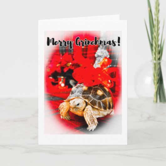 Merry Grinchmas baby sulcata tortoise with red bow カード (正面)