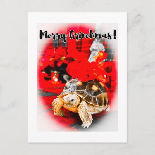 Merry Grinchmas baby sulcata tortoise with red bow ポストカード (正面)