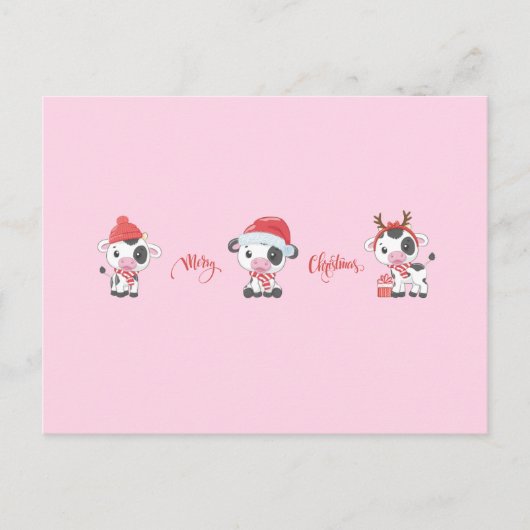 Merry Moos (Baby Cows) Christmas シーズンポストカード (正面)