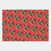 Merry Old Christmas Elf, Jessie Willcox Smith ラッピングペーパーシート (正面)