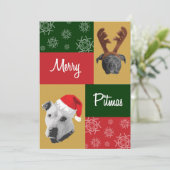 Merry Pitmas シーズンカード (スタンド正面)