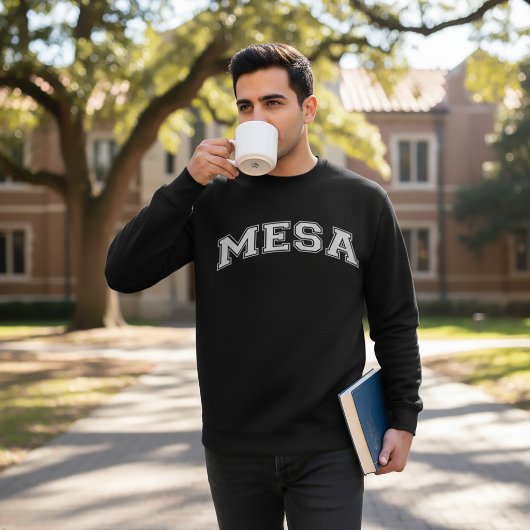 MESA大学スタイルのセーター アメリカの大学 スウェットシャツ