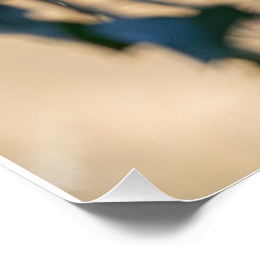 Mésange à longue queue posée ポスター (コーナー)