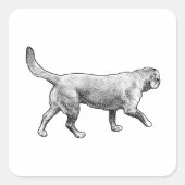 mesh-tone pace スクエアシール (正面)