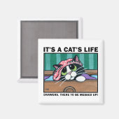 Messy Drawers v.01 – ネコの生命磁石 マグネット (正面/裏面)