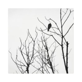 Metal Art Black & WHite メタルプリント