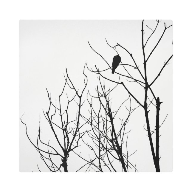 Metal Art Black & WHite メタルプリント (正面)