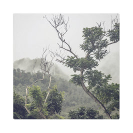 Metal Art Black & White II メタルプリント