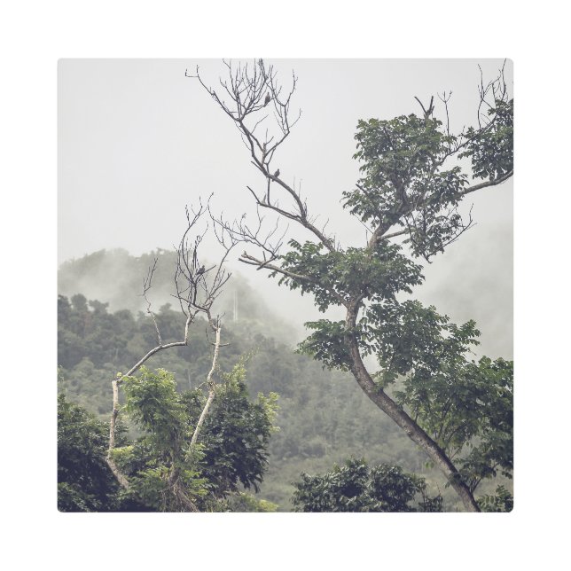 Metal Art Black & White II メタルプリント (正面)