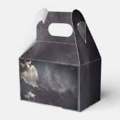 Metal clouds フェイバーボックス (正面サイド)