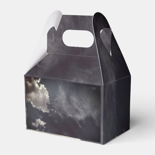 Metal clouds フェイバーボックス (正面サイド)