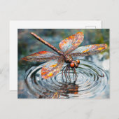 Metal Dragonfly Over Water ポストカード (正面/裏面)
