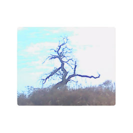 Metal Wall Art メタルプリント