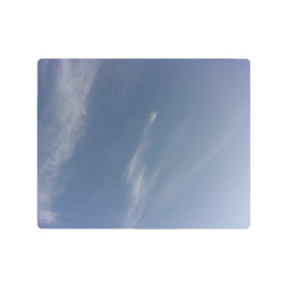 Metal Wall Art メタルプリント