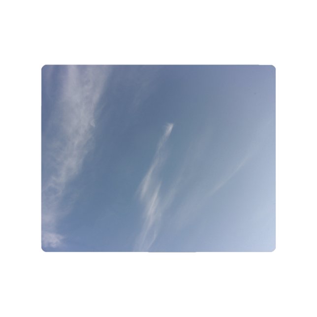 Metal Wall Art メタルプリント (正面)