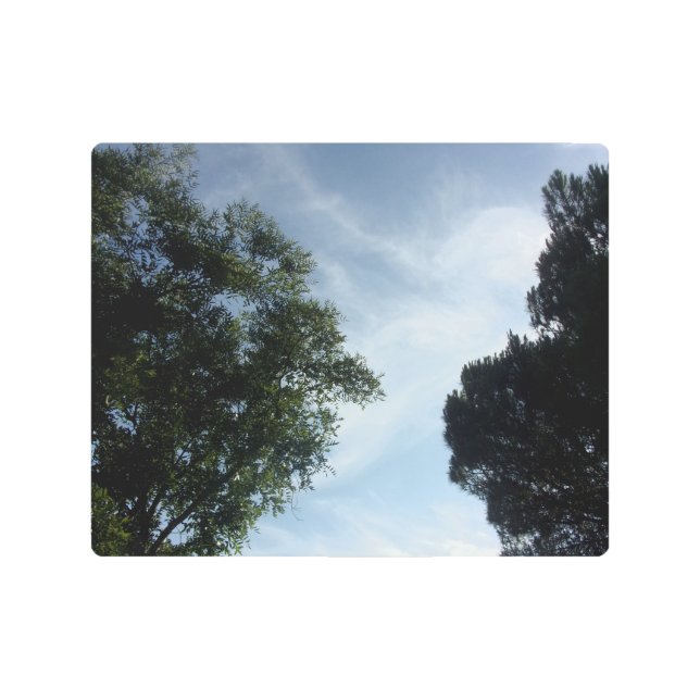 Metal Wall Art メタルプリント (正面)