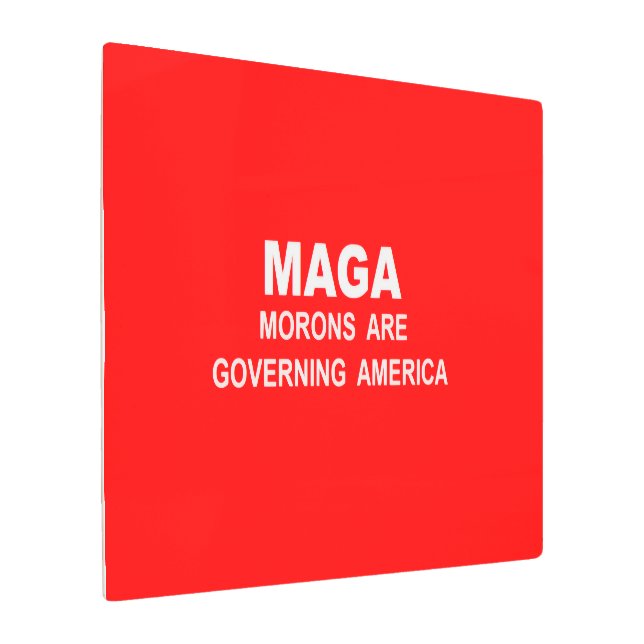 Metal Wall Art メタルプリント (アングル)