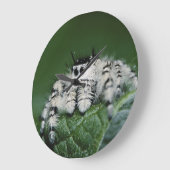 Metaphidの跳躍のくも ラージ壁時計 (傾斜)