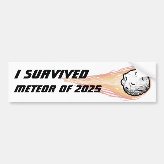 Meteor 2025 bumper sticker バンパーステッカー (正面)
