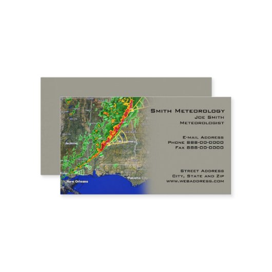 Meterologistの名刺 名刺 (正面/裏面インサイチュ)