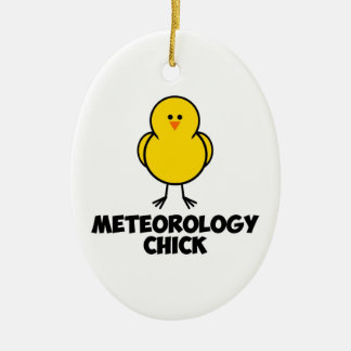 Meterologyのひよこ セラミックオーナメント
