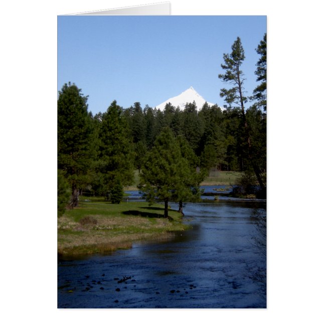 Metoliusの頭部 (正面)