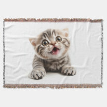 MewMellow – マーシュマロのくつろぎ