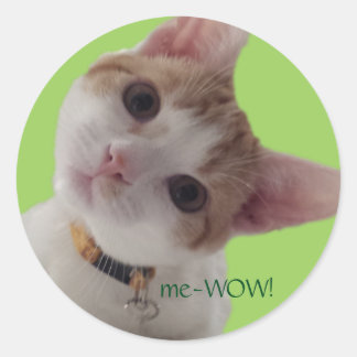 meWOW不思議な猫グッドジョブカスタマイズ可能ステッカー ラウンドシール