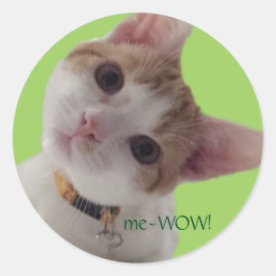 meWOW好奇心が強い猫のよい仕事のカスタマイズ可能なステッカー ラウンドシール
