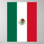 Mexican Flag ポスター (正面)