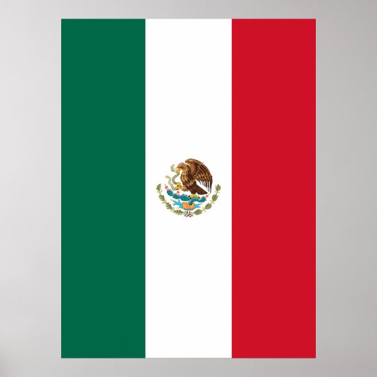 Mexican Flag ポスター (正面)