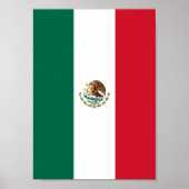 Mexican Flag ポスター (正面)