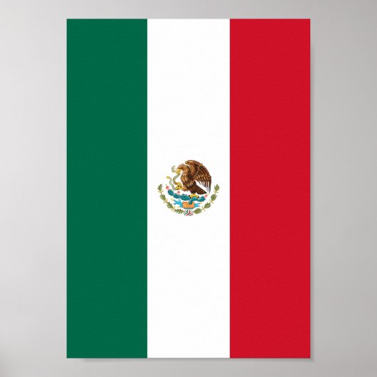 Mexican Flag ポスター (正面)