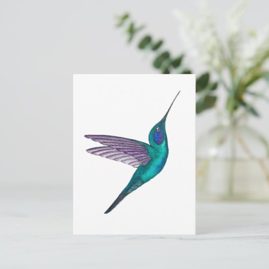 Mexican Violetear Hummingbird ポストカード (スタンド正面)