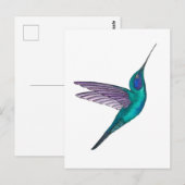 Mexican Violetear Hummingbird ポストカード (正面/裏面)