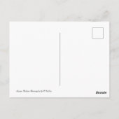 Mexican Violetear Hummingbird ポストカード (裏面)